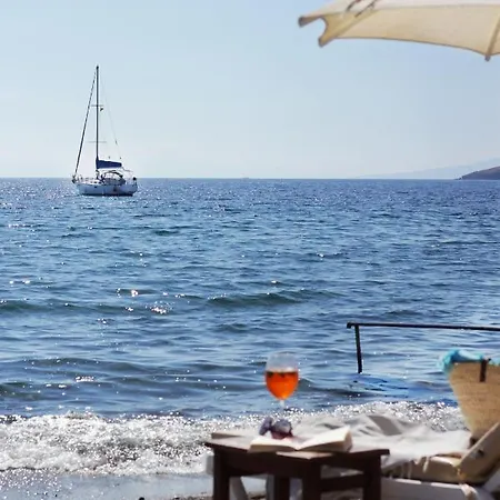 Acelya * Bodrum