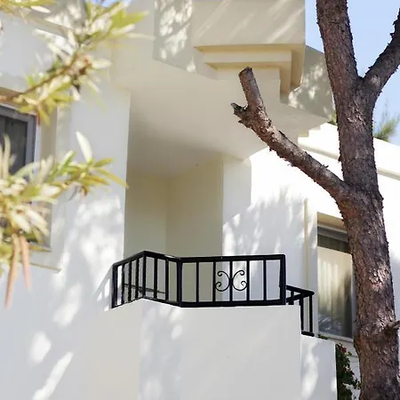 Acelya Hotel