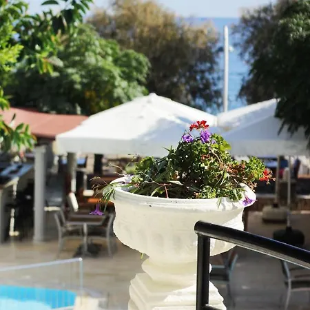 Acelya Hotel