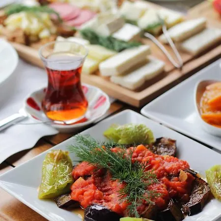 Acelya 酒店 博德鲁姆