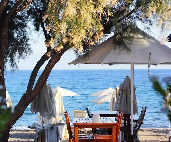 Acelya 호텔 Bodrum