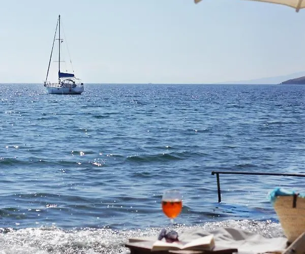 Acelya * Bodrum